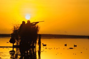 Hunting ducks in central Texas